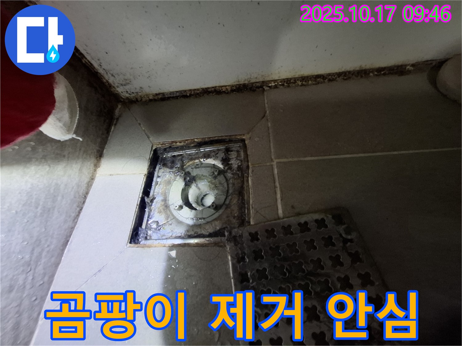 분당 봇들마을 아파트 - 욕실 배수구 곰팡이 제거 - 누수 완벽 차단 - 친환경 자재 사용 - 안심하고 사용하세요.