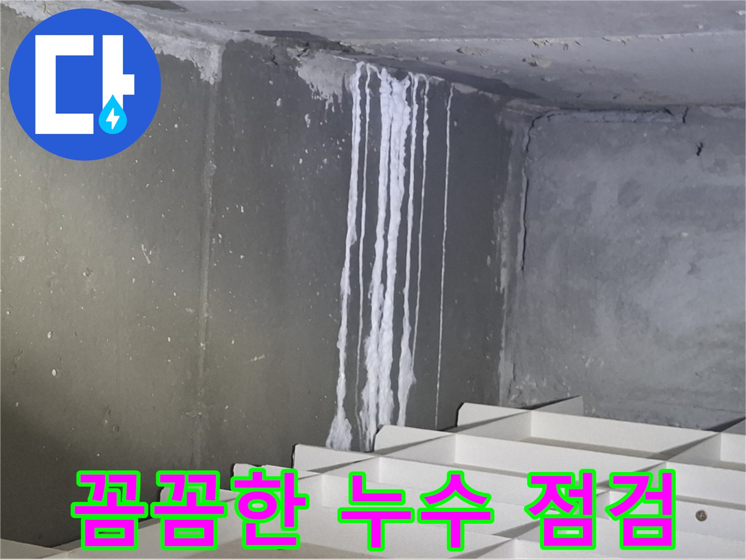 분당 봇들마을 아파트 주차장 누수 - 꼼꼼한 점검으로 문제 해결