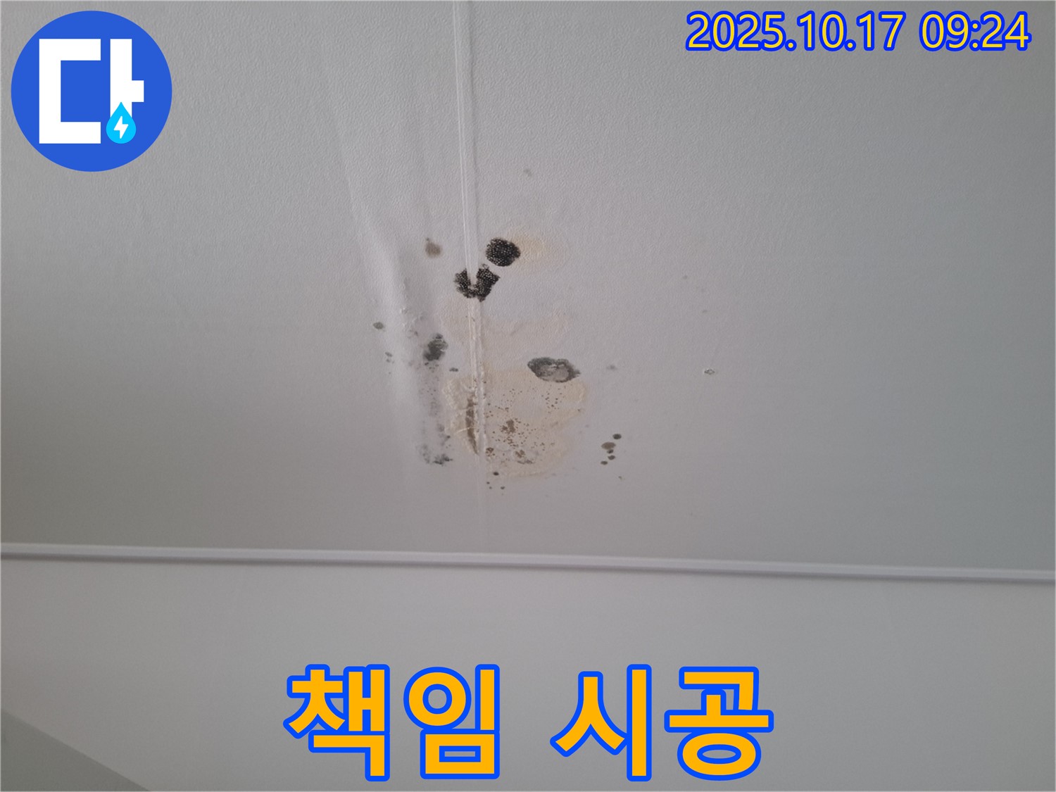 분당 봇들마을 아파트 천장 누수 - 100% 책임 시공