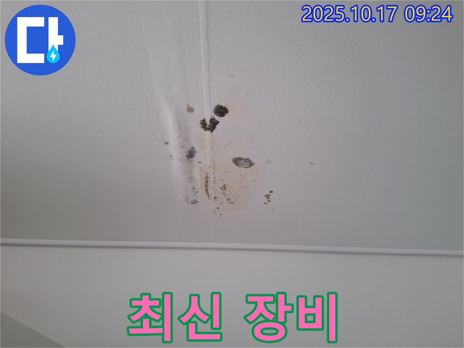 분당 봇들마을 아파트 천장 누수 - 최신 누수 탐지 장비