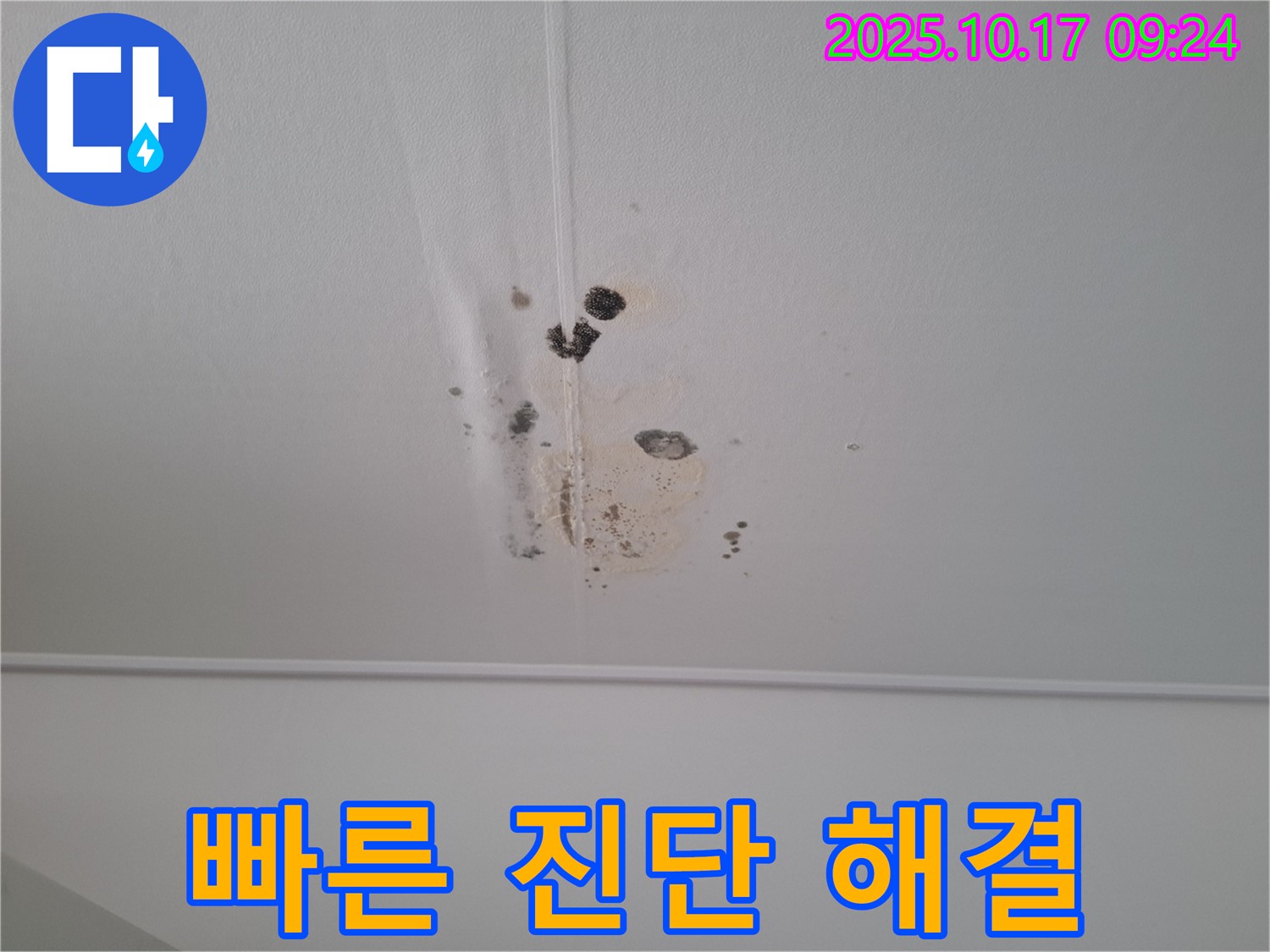 분당 봇들마을2단지 아파트 206동 천장 누수 - 빠른 진단과 맞춤 해결