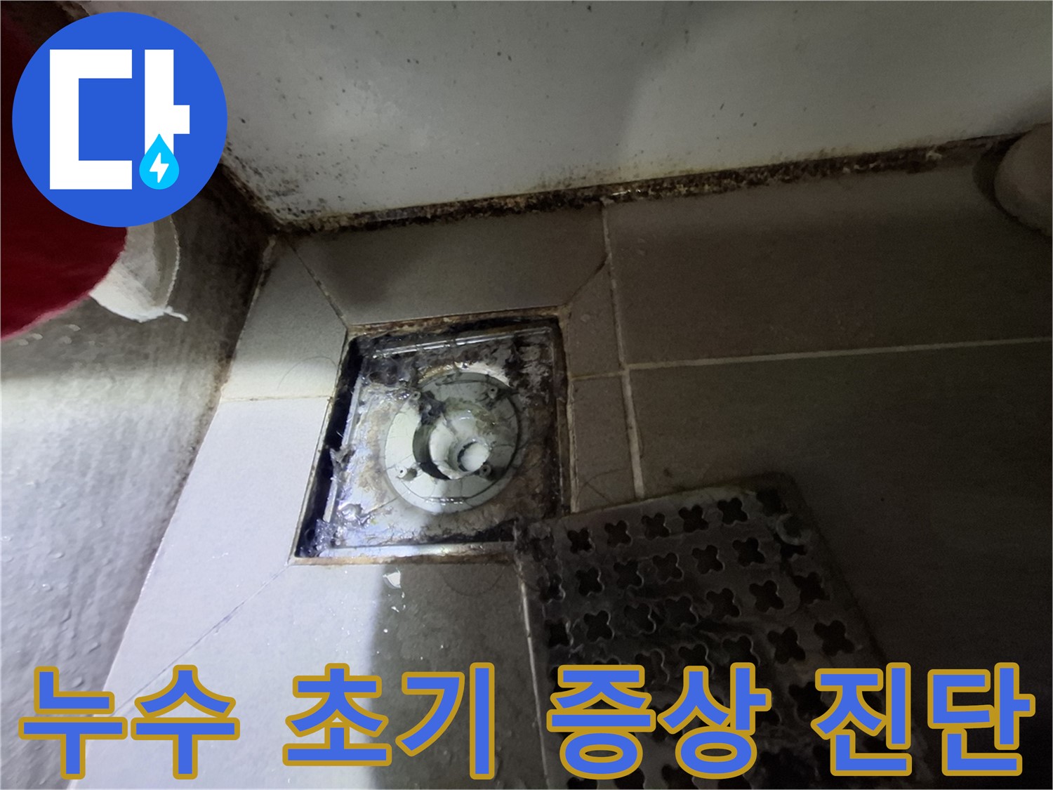 분당 봇들마을2단지 욕실 - 배수구 주변 곰팡이, 누수 초기 증상 의심