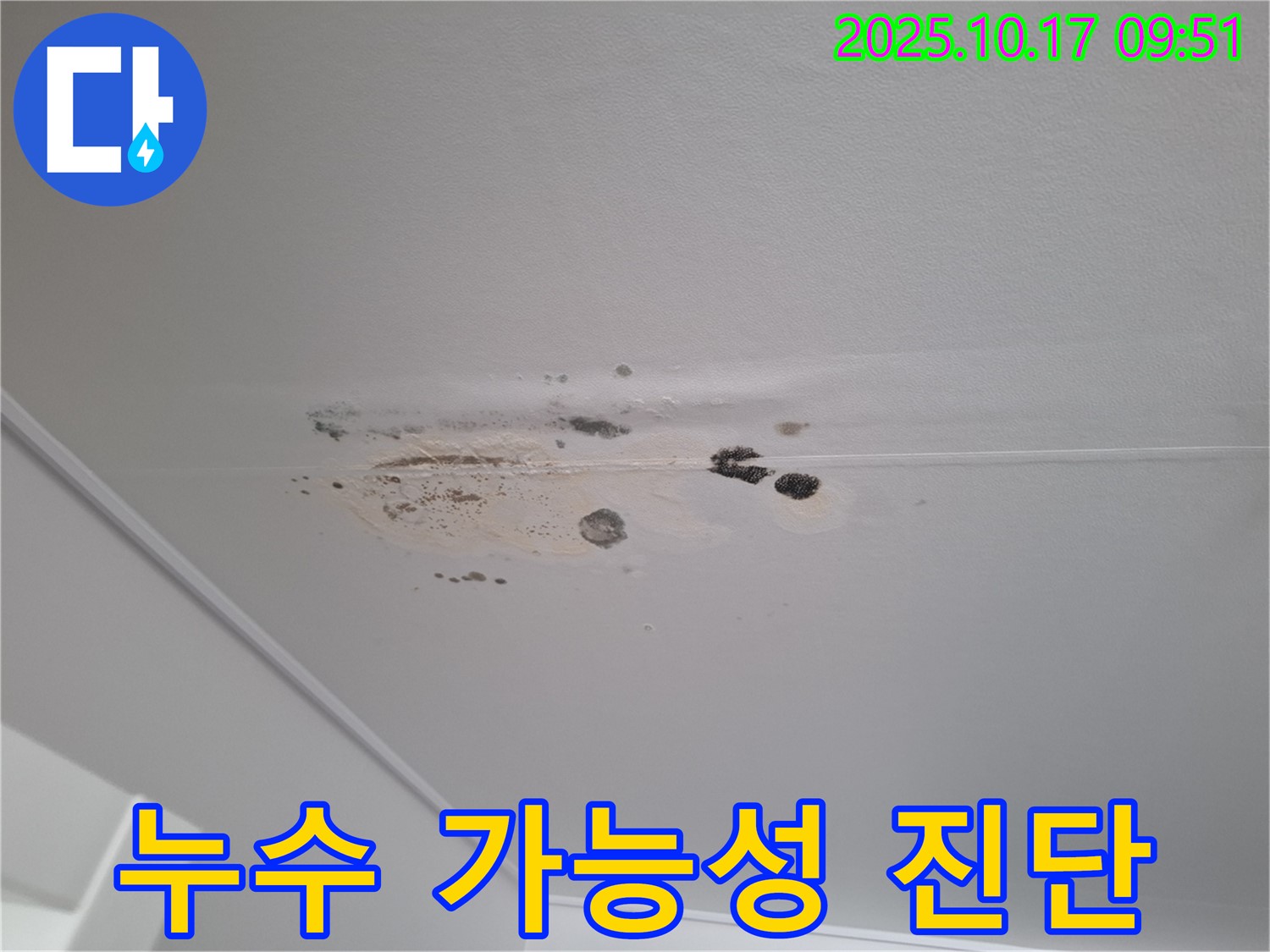 분당 삼평동 누수 - 심각한 얼룩과 곰팡이 천장 - 누수 가능성 진단 진행