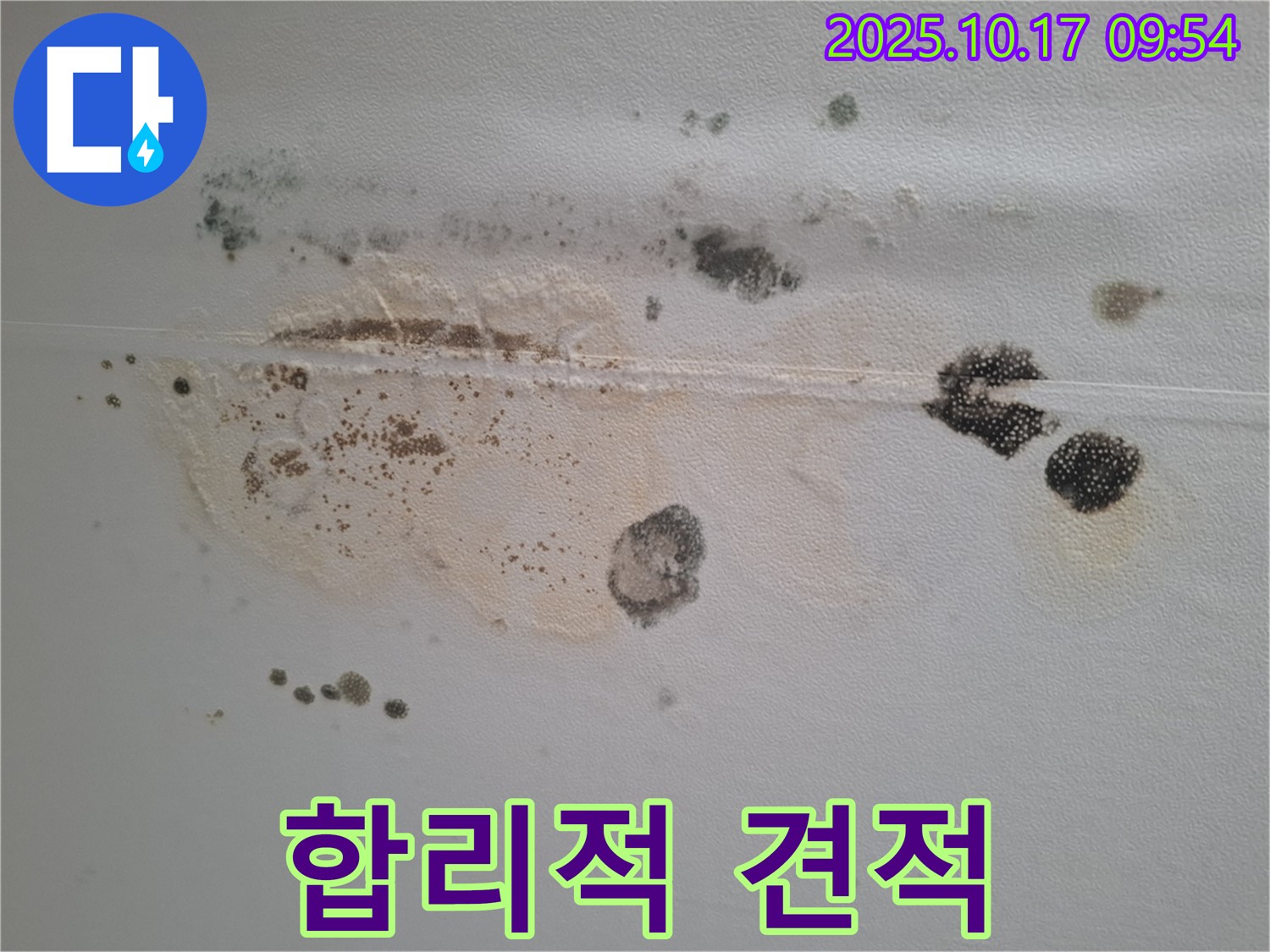 분당 삼평동 봇들마을2단지 아파트 천장 누수 - 곰팡이 문제, 합리적인 견적으로 해결