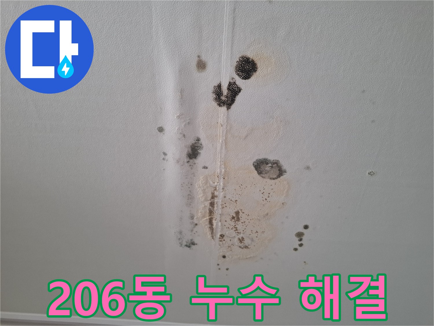 분당 삼평동 아파트 누수 - 206동 누수 해결 완료