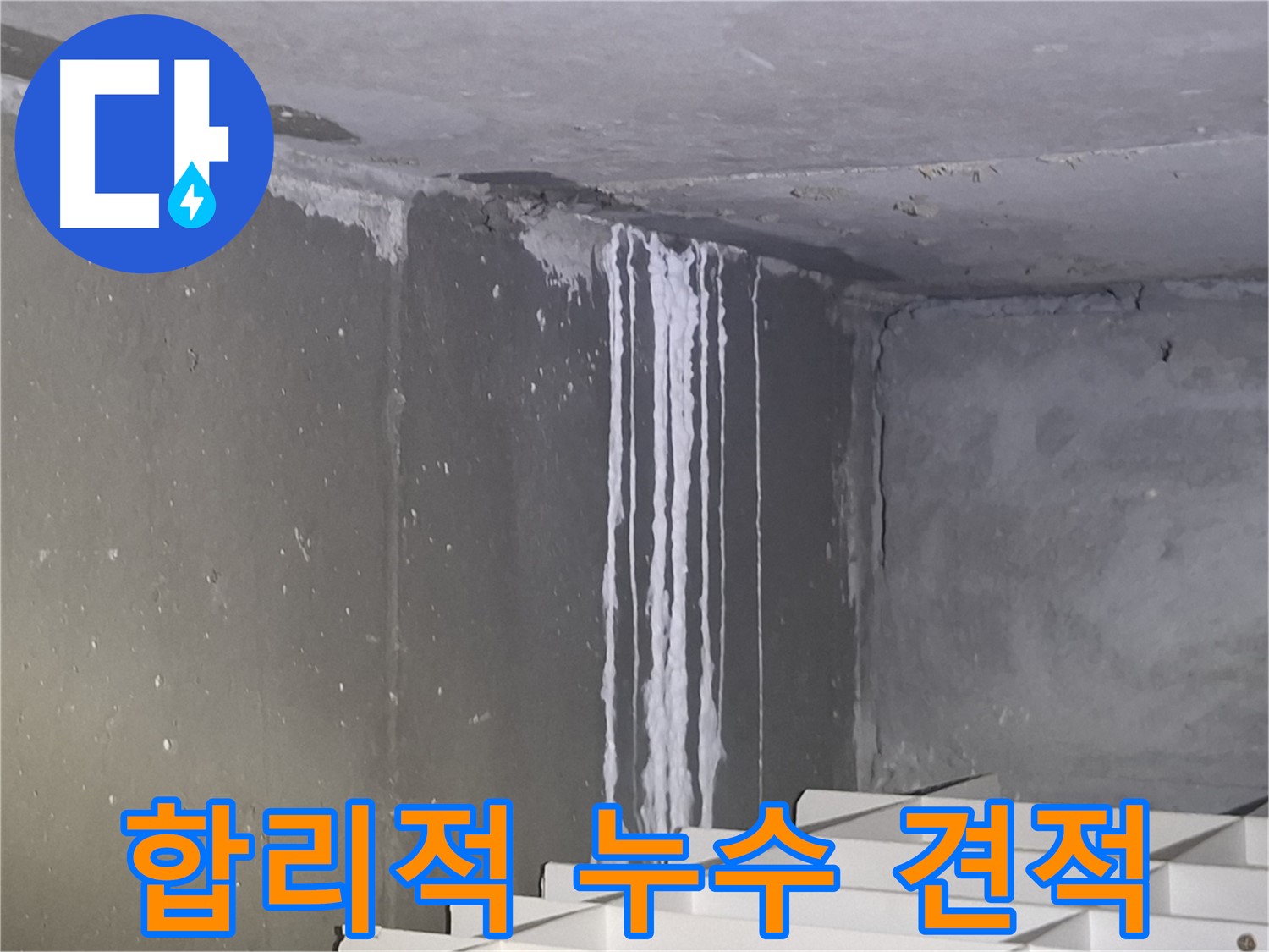 분당구 봇들마을 계단 벽 누수 - 합리적인 누수 견적 제공