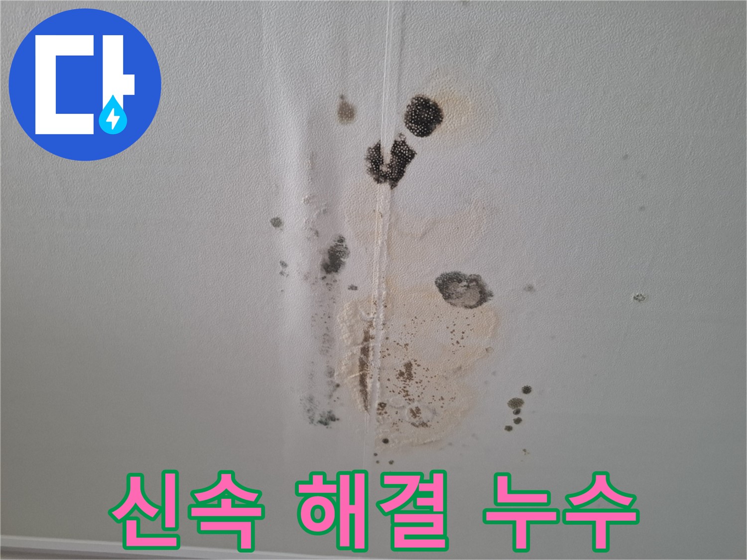 분당구 삼평동 아파트 누수 - 곰팡이 문제 신속하게 해결