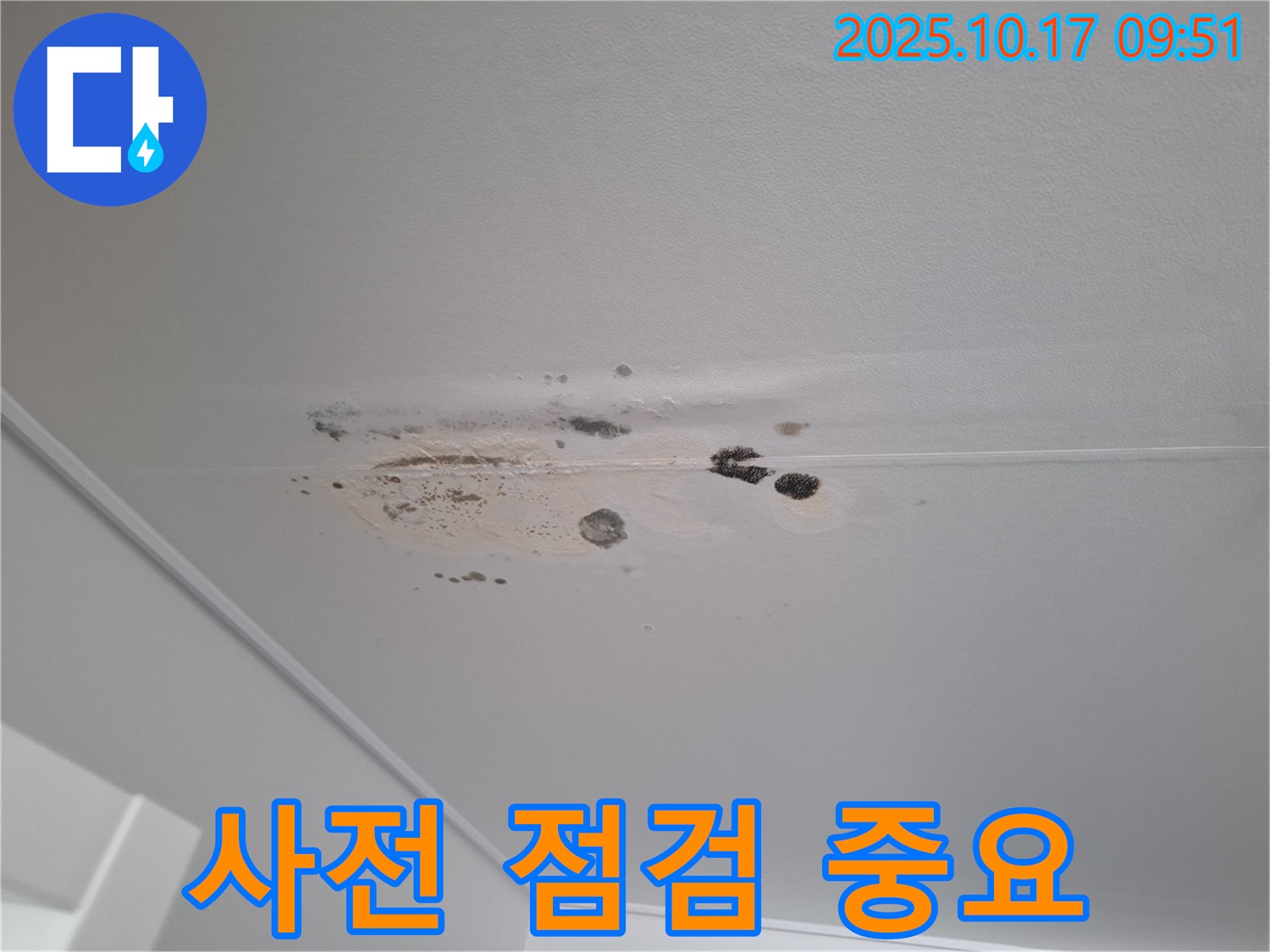 삼평동 누수 - 곰팡이 얼룩 심한 천장 - 누수 발생 전 사전 점검의 중요성 강조