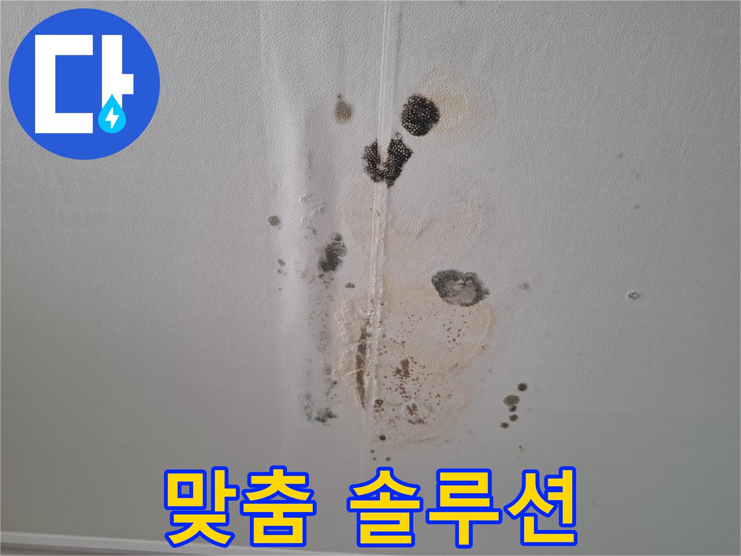 성남 누수 - 곰팡이 문제 고객 맞춤 솔루션 제공