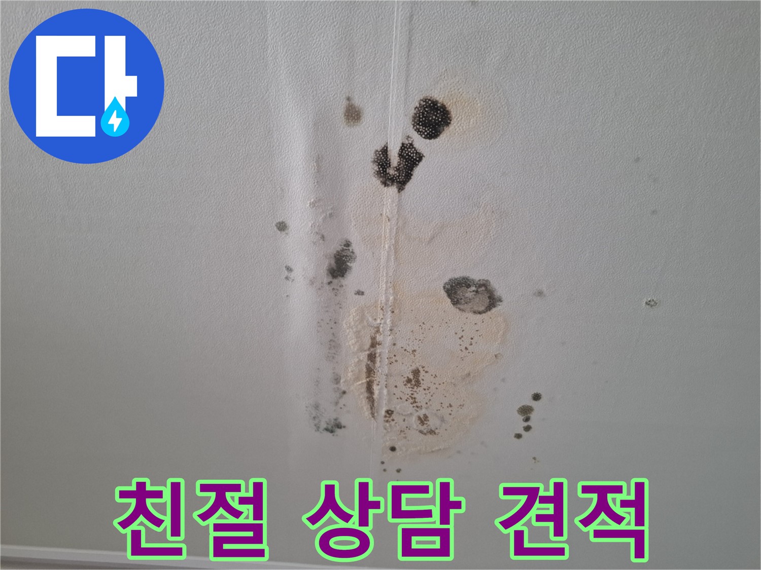 성남 누수 - 친절한 상담과 합리적인 견적으로 곰팡이 문제 해결