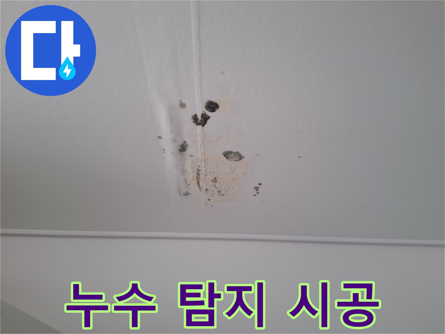 성남 봇들마을 아파트 - 누수 탐지부터 완벽한 시공까지 책임집니다.