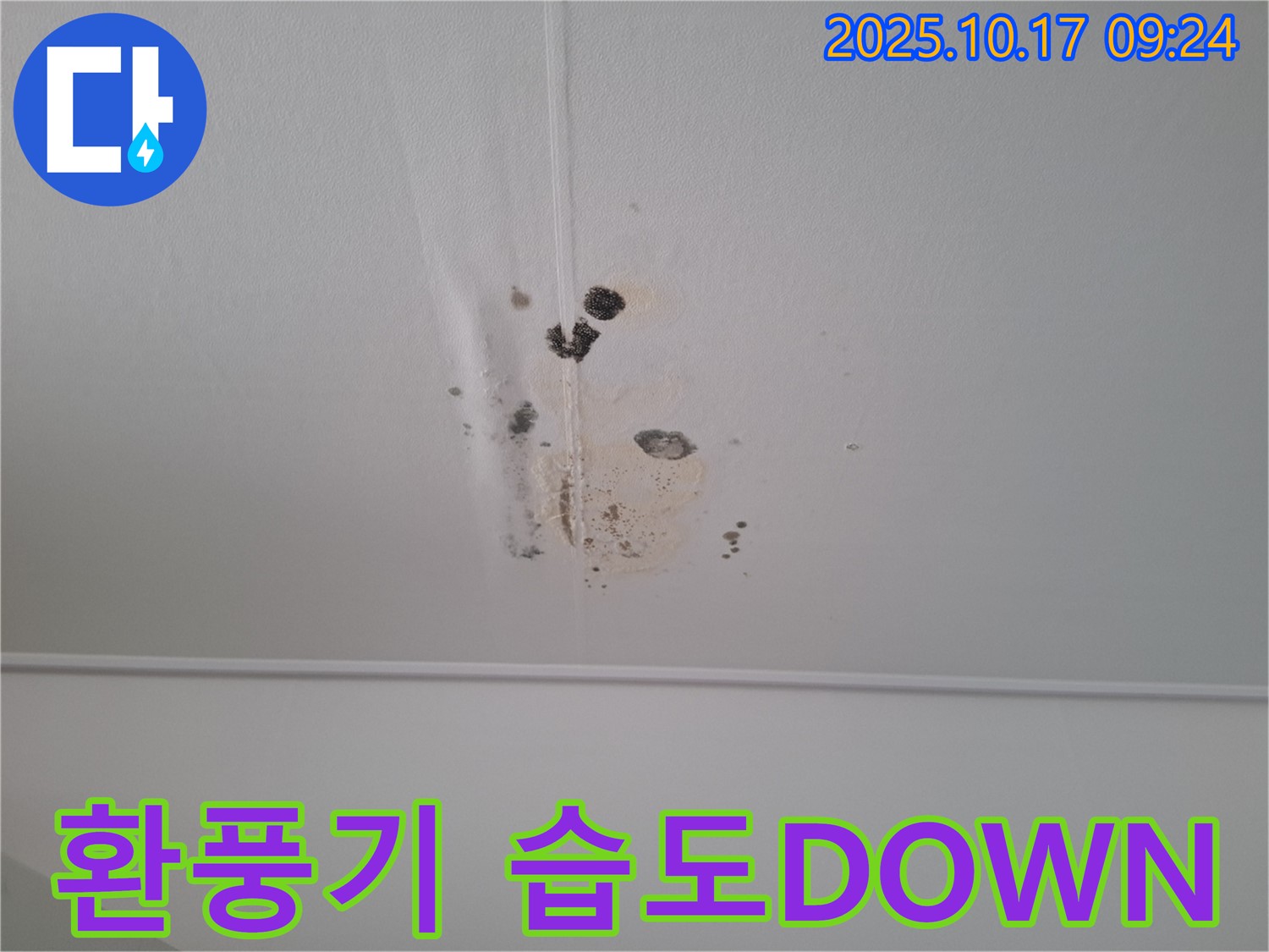성남 봇들마을2단지 아파트 천장 누수 - 환풍기 설치로 습도 DOWN