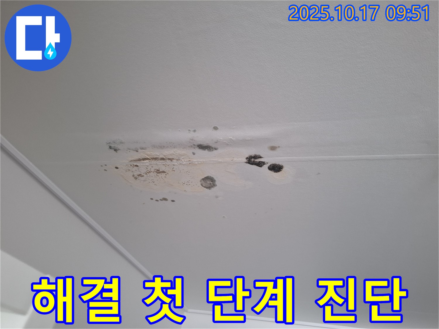 성남 분당 누수 - 오염된 천장 - 누수 해결 첫 단계 - 정밀 진단 시작