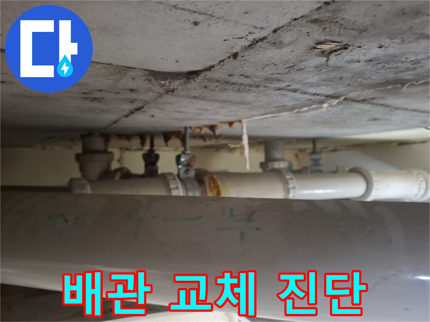 성남 분당 봇들마을 2단지 아파트 - 천장 배관 교체 시기 긴급 진단