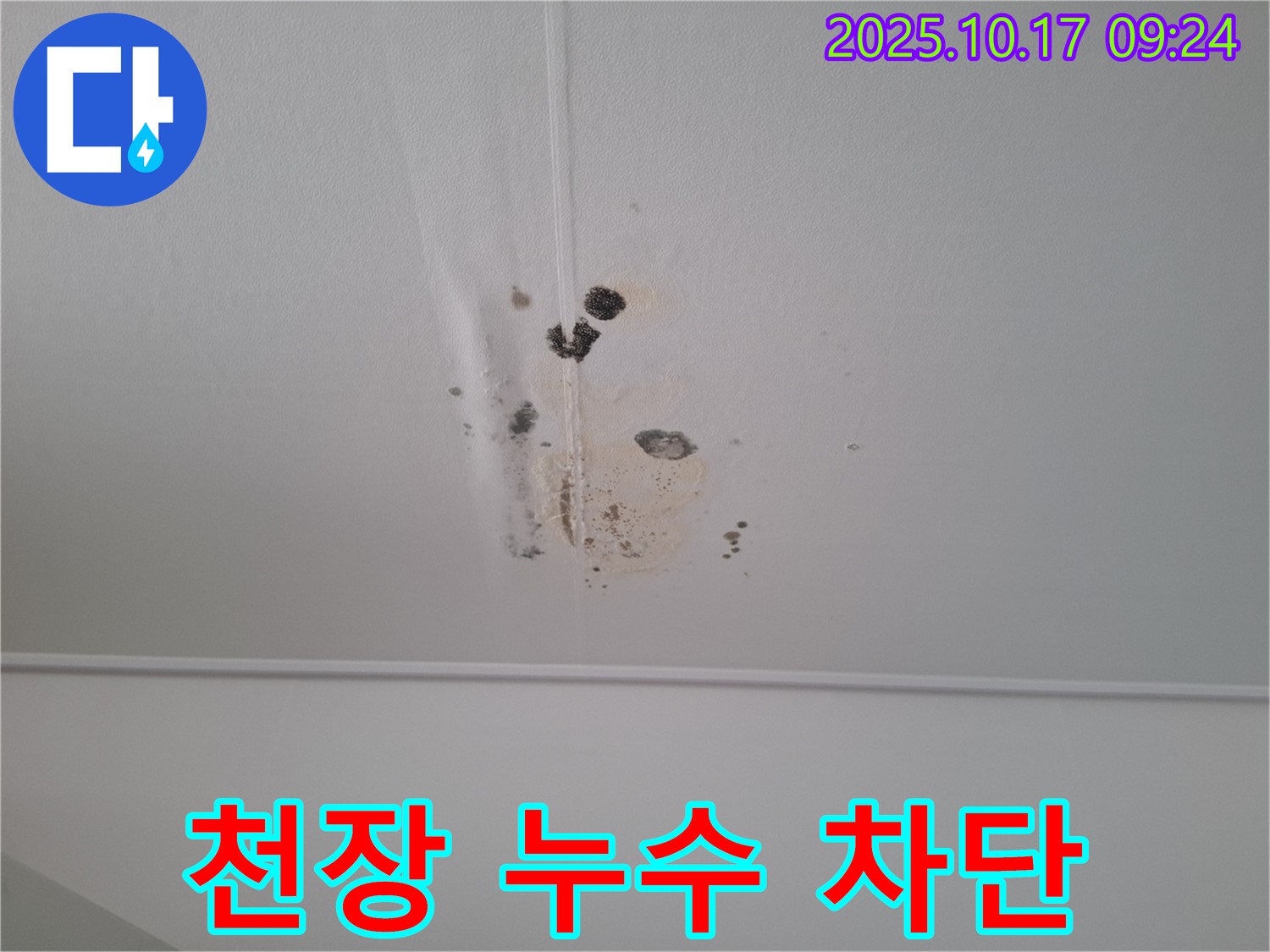성남 분당 봇들마을 아파트 천장 누수 - 누수 차단 작업