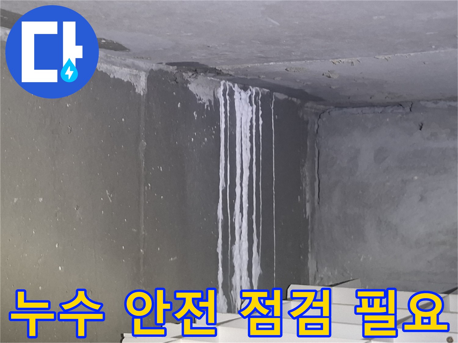 성남 삼평동 건물 누수 - 안전 점검 필수