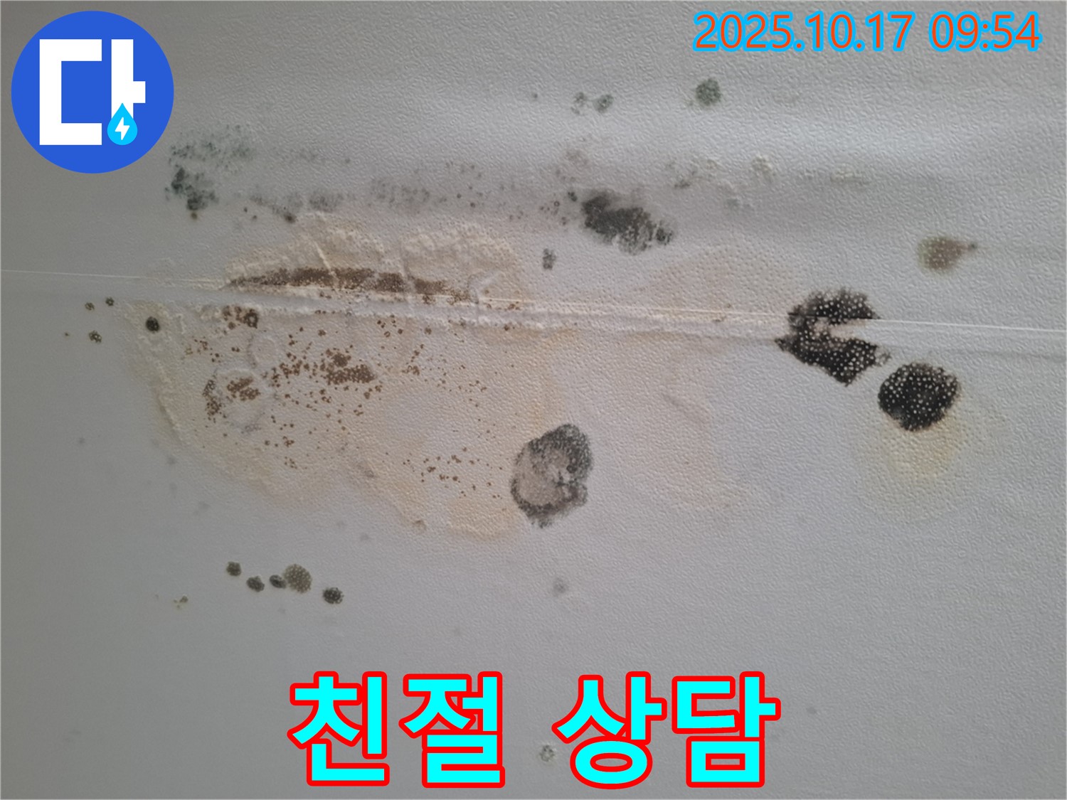 성남시 분당구 봇들마을 아파트 천장 누수 문의 - 곰팡이 문제에 대한 친절하고 자세한 상담 제공