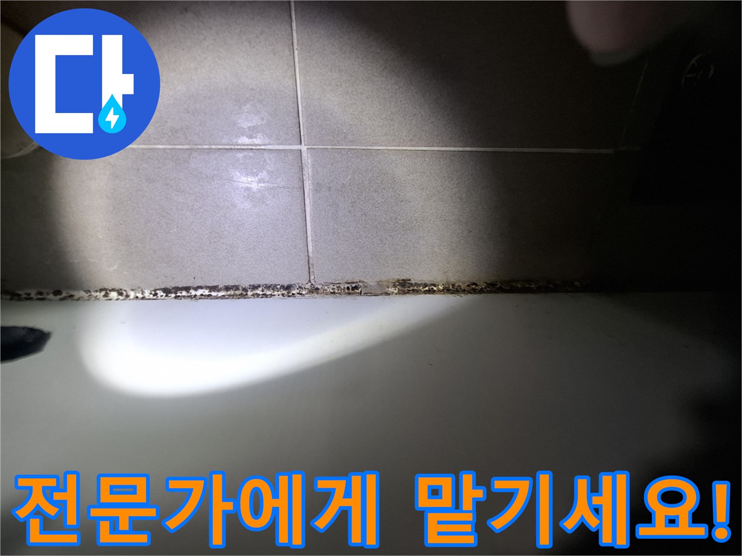 욕조 곰팡이 - 곰팡이 고민 해결, 전문가의 손길로!