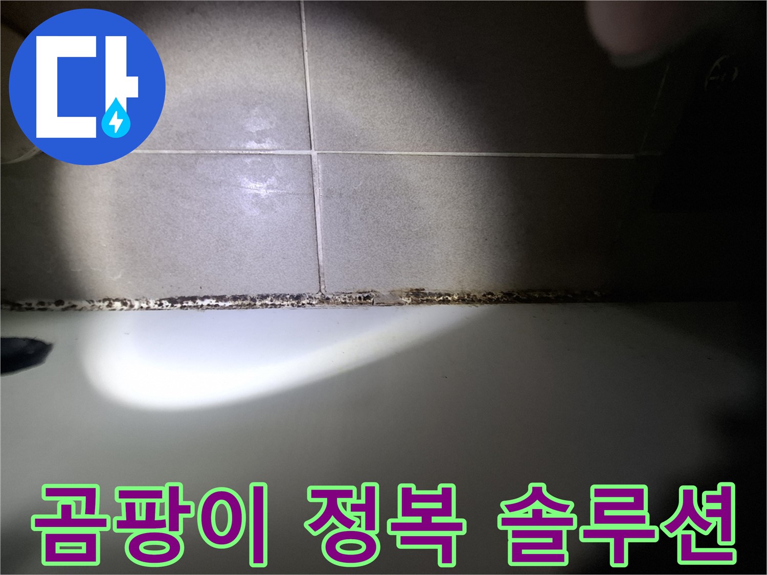욕조 곰팡이 - 곰팡이 완전 정복을 위한 맞춤 솔루션 제공