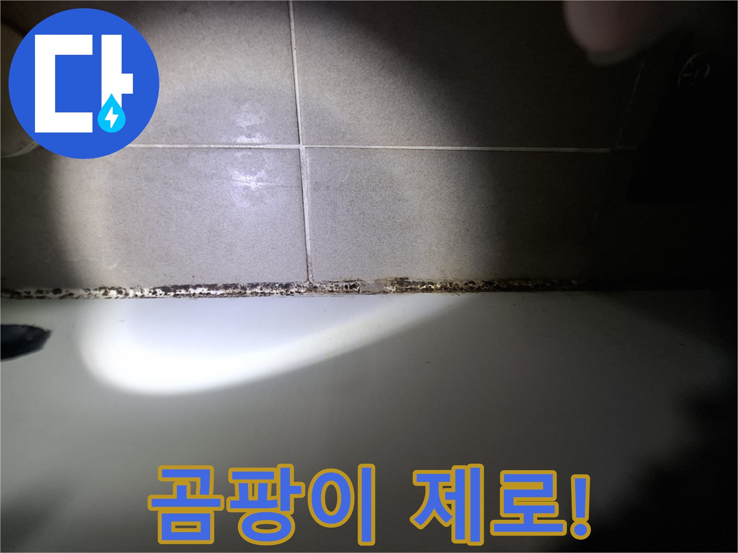 욕조 곰팡이 제거 - 곰팡이 제로를 위한 완벽 시공
