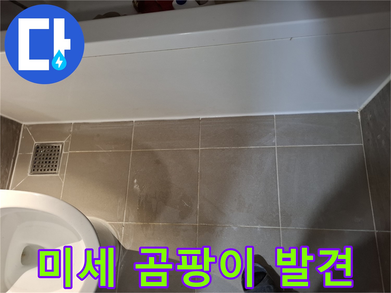 욕조 옆 타일 틈새 미세 곰팡이 발견 - 초기 누수 의심