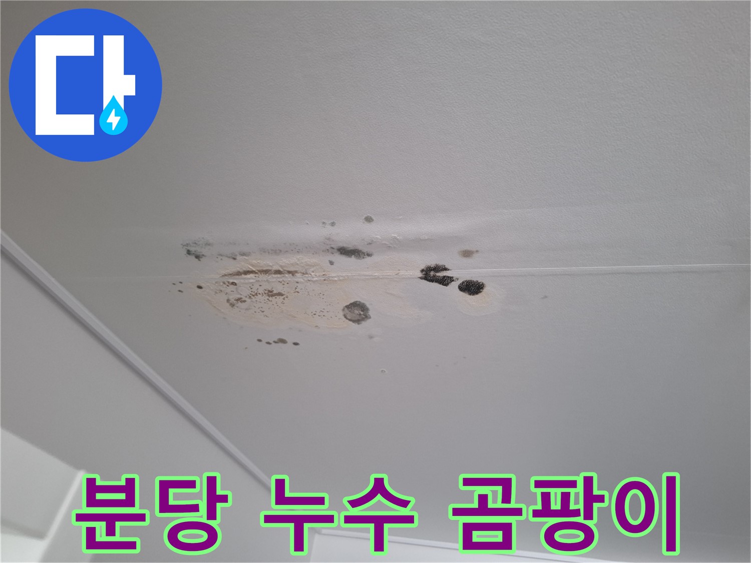 천장 누수 - 곰팡이 확산, 건강에 해로워요