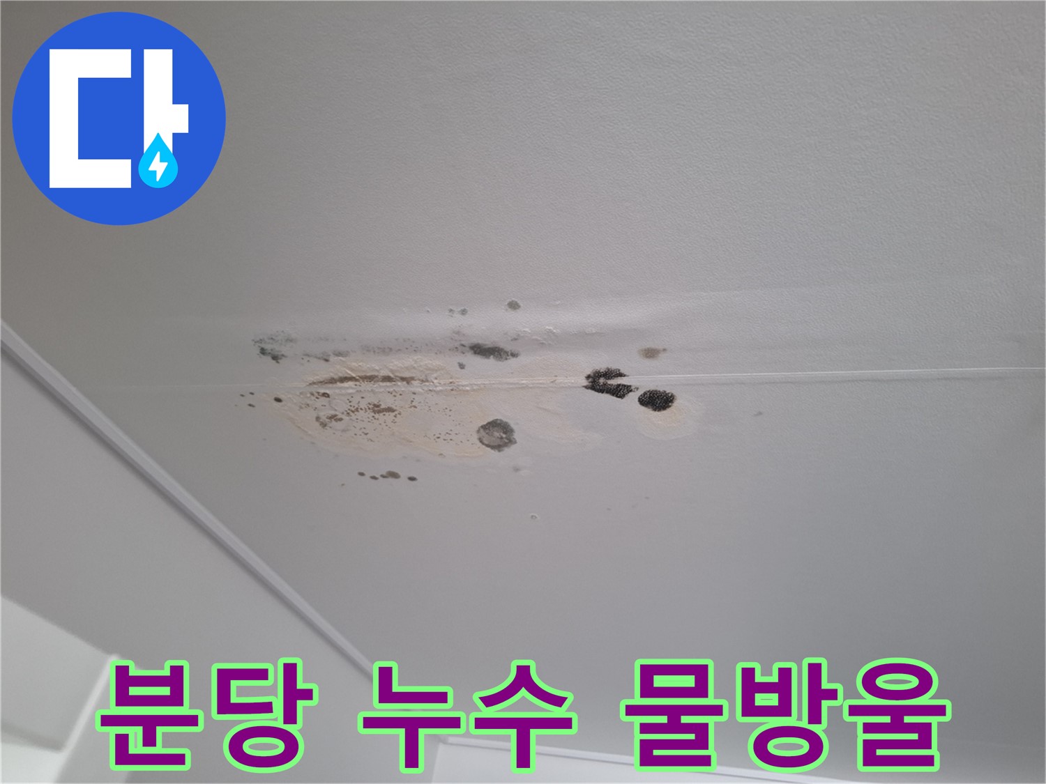 천장 누수 - 물방울 맺힘, 위험 신호!