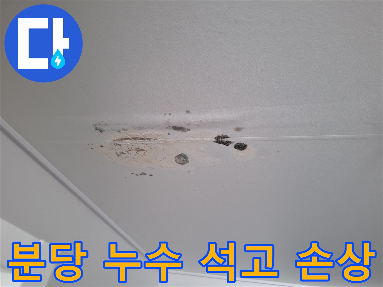 천장 누수 - 석고보드 손상, 교체 필요!