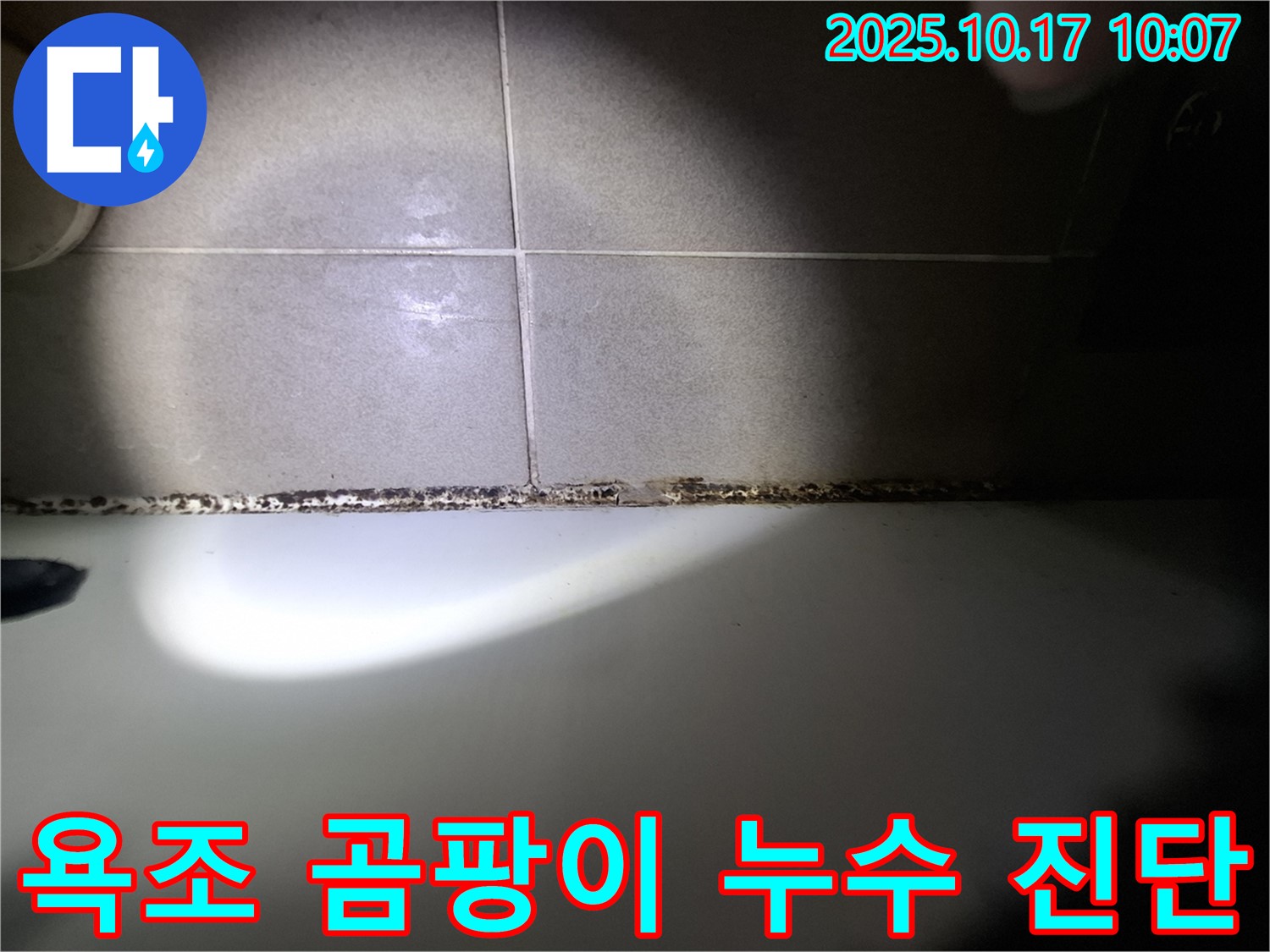 판교 누수 전문가 - 욕조 곰팡이 누수 진단부터 책임집니다.