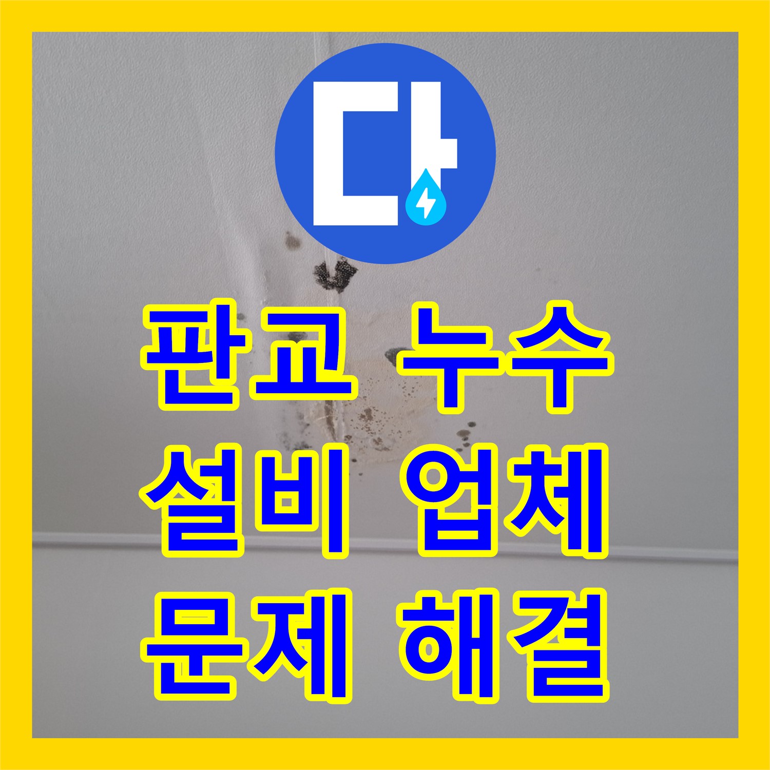 판교, 누수설비업체, 노후 배관으로 인한 누수 해결
