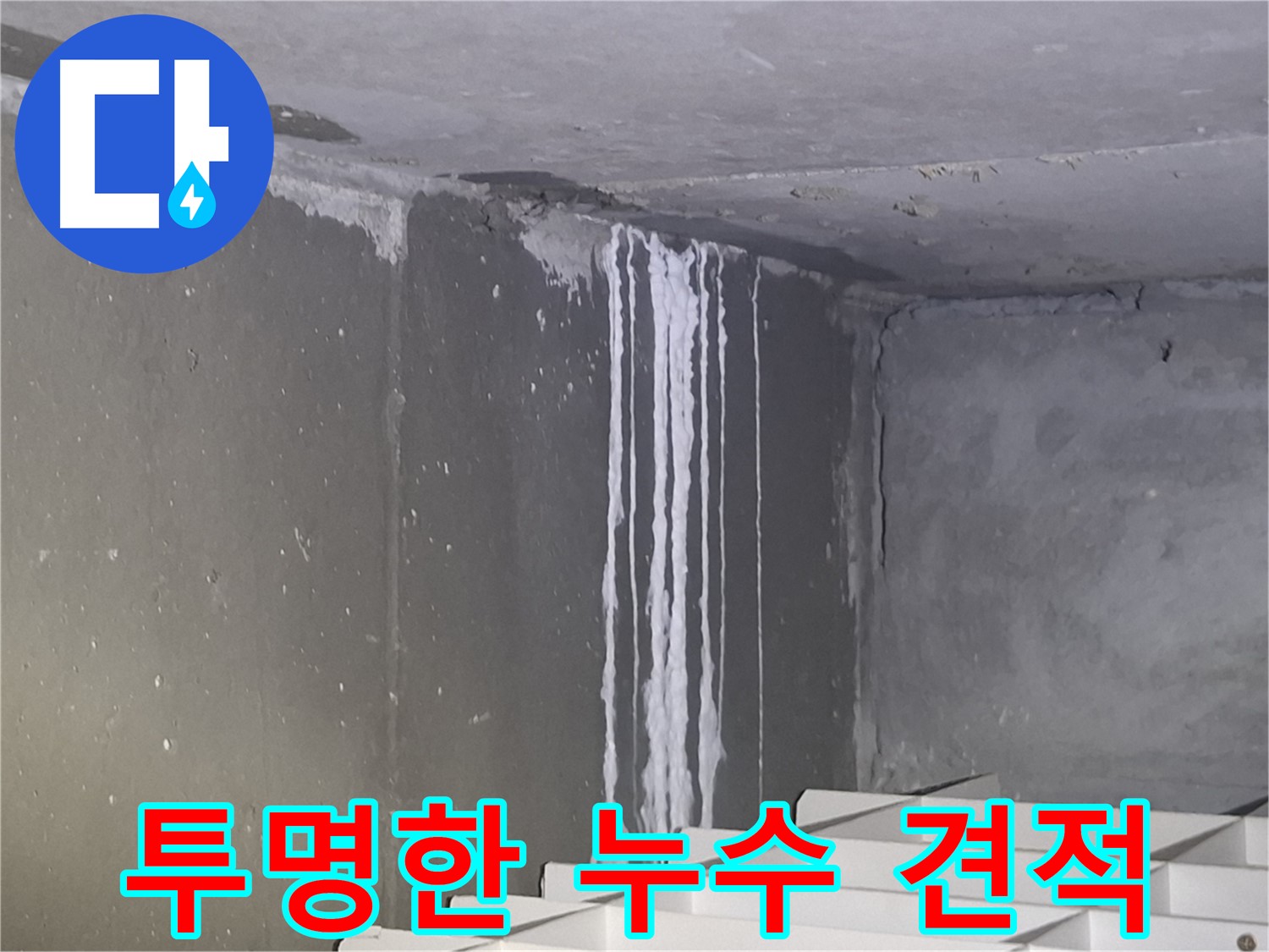 판교 삼평동 건물 누수 - 투명한 견적으로 신뢰 구축