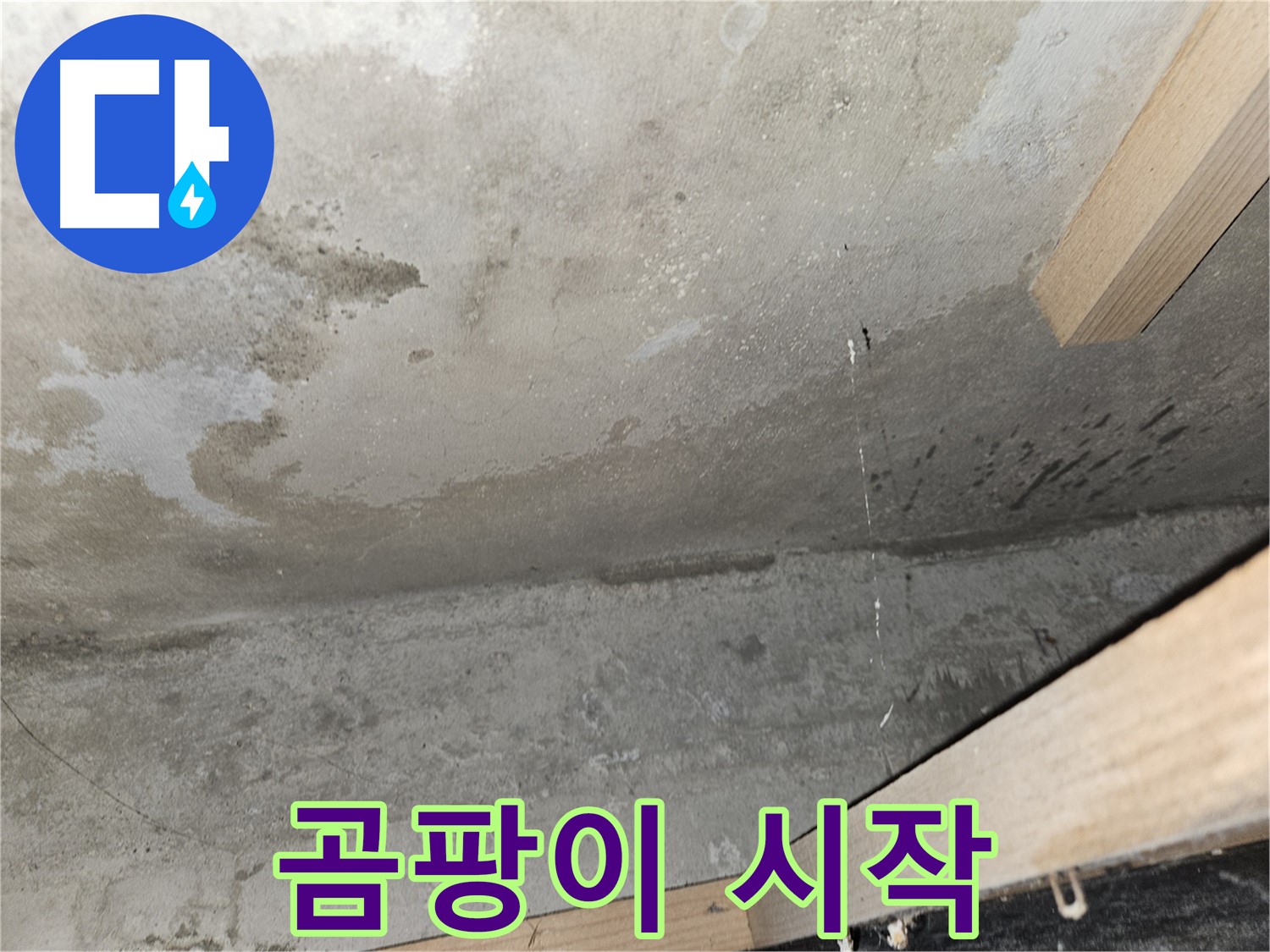 곰팡이 시작 - 누수로 인해 곰팡이가 슬기 시작한 콘크리트 천장의 모습입니다.