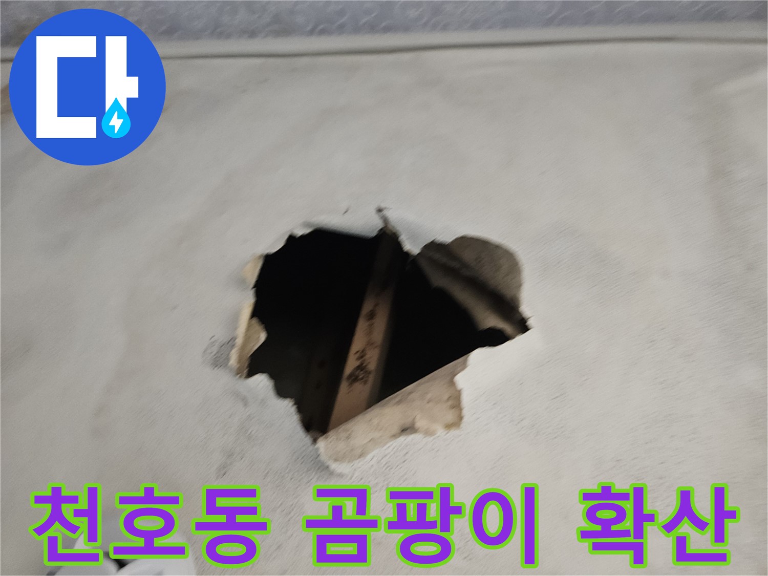 누수 곰팡이 - 건강 위협 심각
