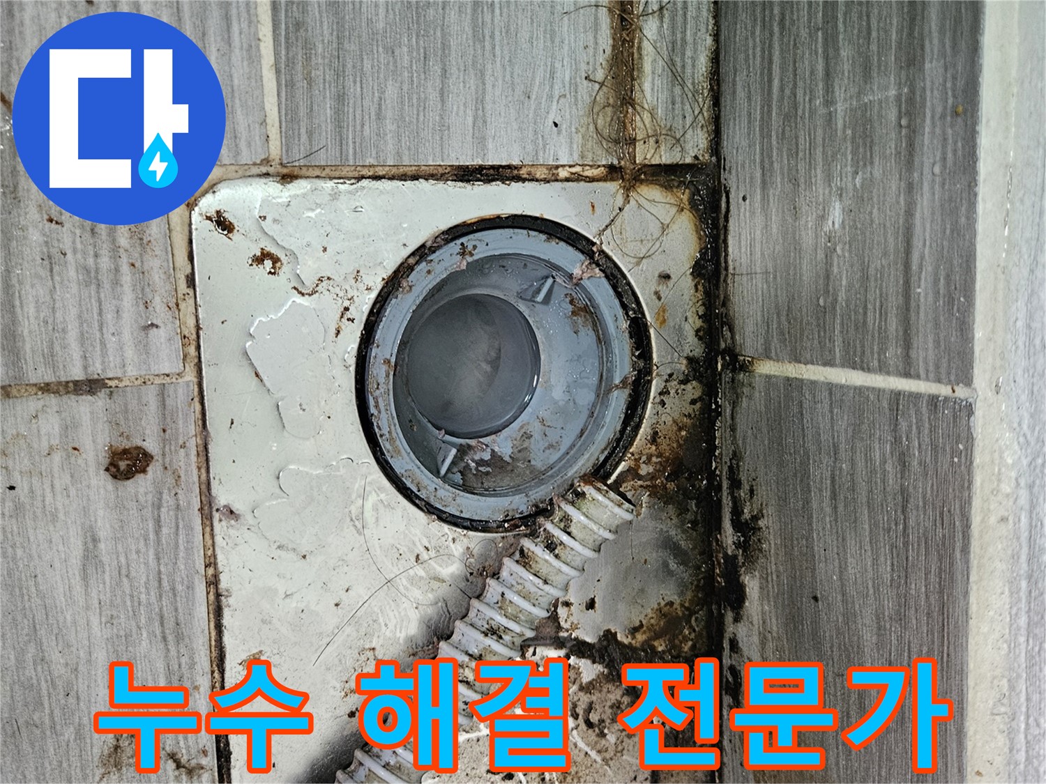 누수 문제 해결 전문가 - 숙련된 기술과 풍부한 경험