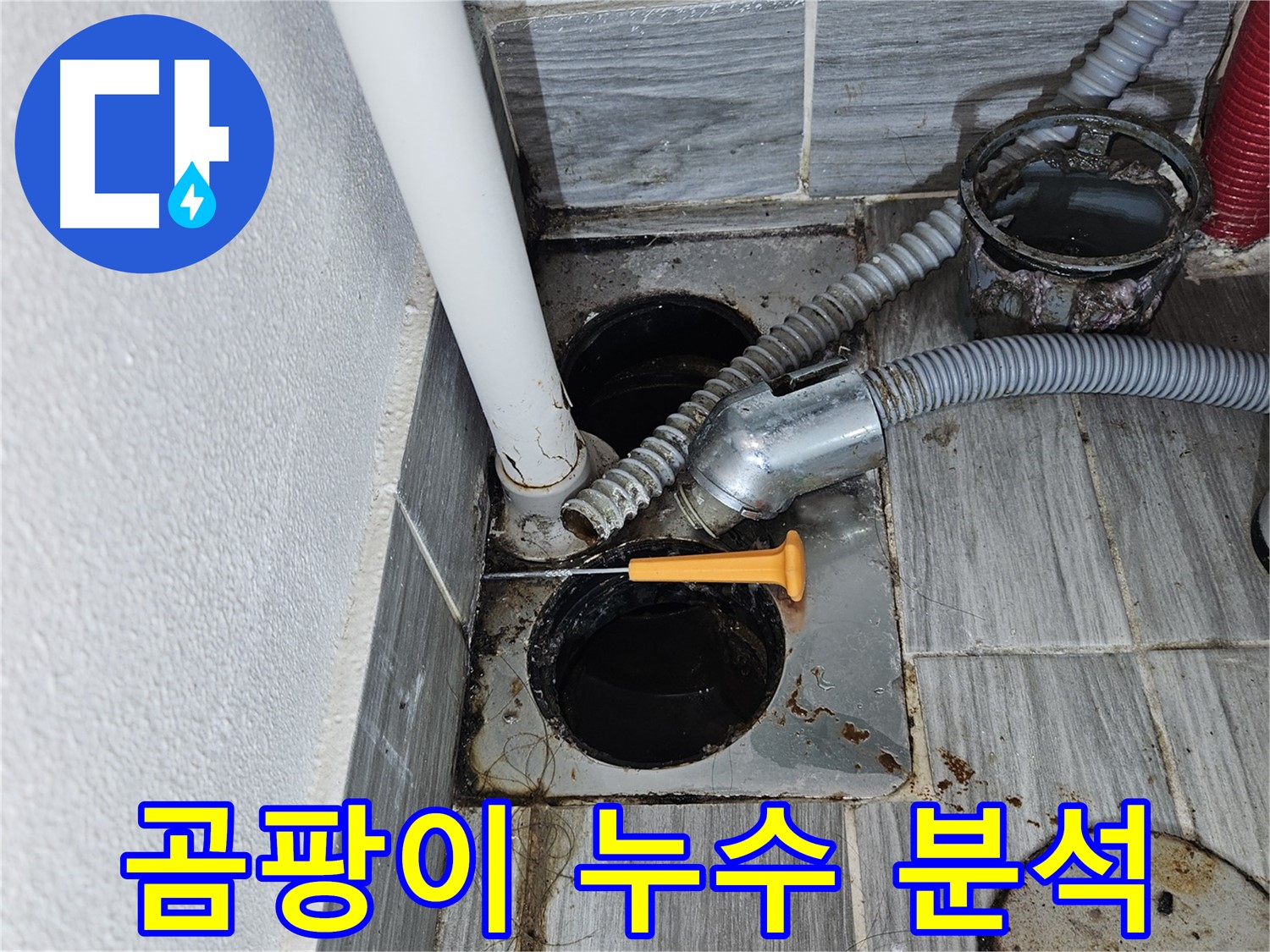 배수구 주변 곰팡이 - 누수 원인 정밀 분석으로 문제 해결