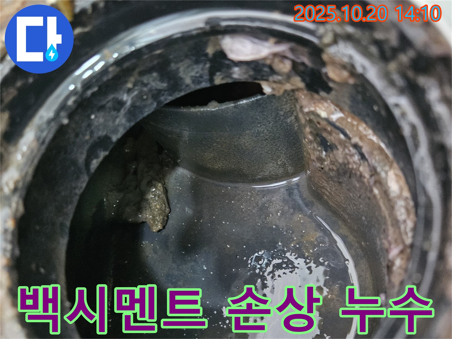 배수구 주변 백시멘트 손상 - 누수 신호 감지