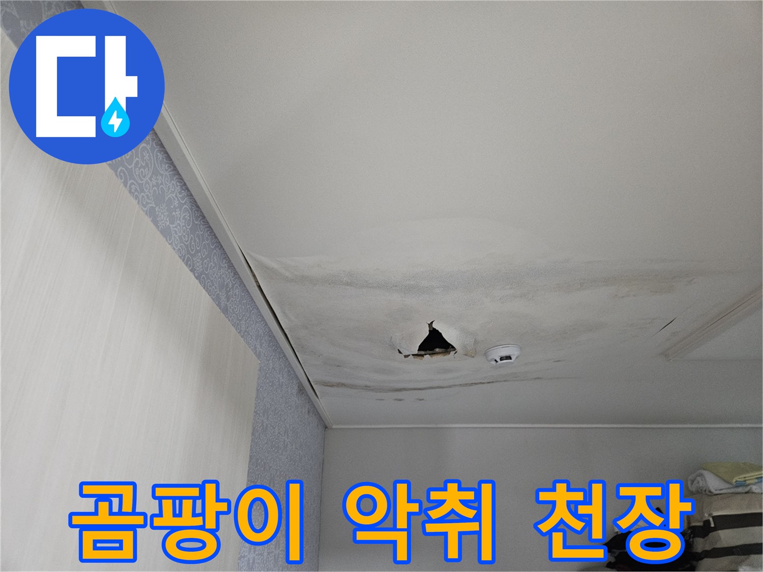 천호1동 누수 - 곰팡이로 뒤덮인 천장, 악취 심각