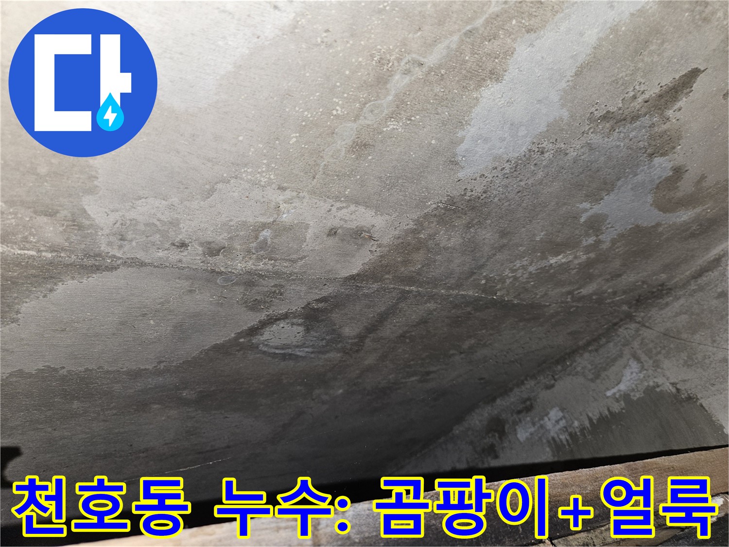 천호동 리버스타운 아파트 누수 - 곰팡이와 얼룩은 누수 진행의 흔적