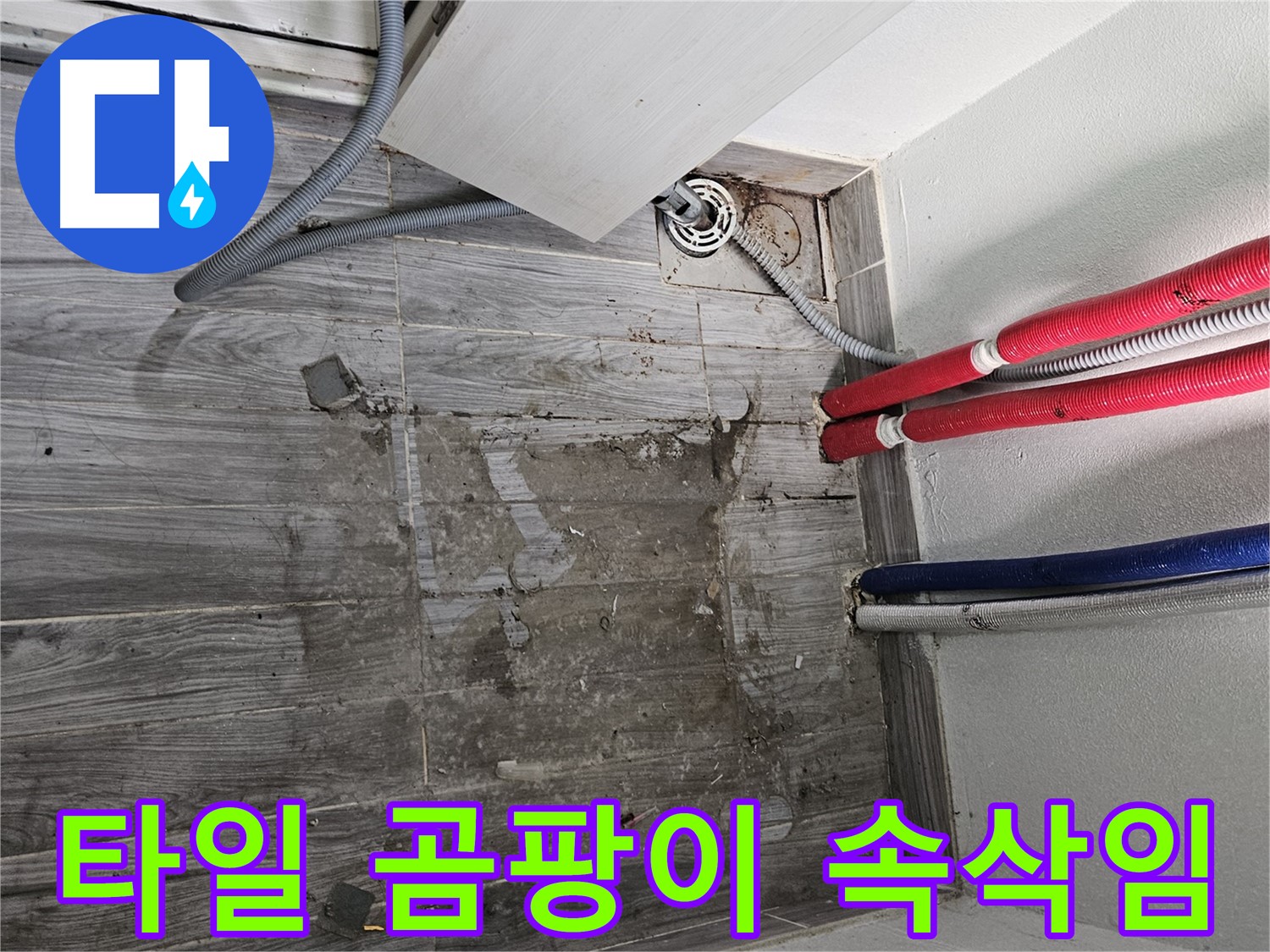 천호동 세탁실 누수 - 젖은 타일에서 들리는 곰팡이의 속삭임