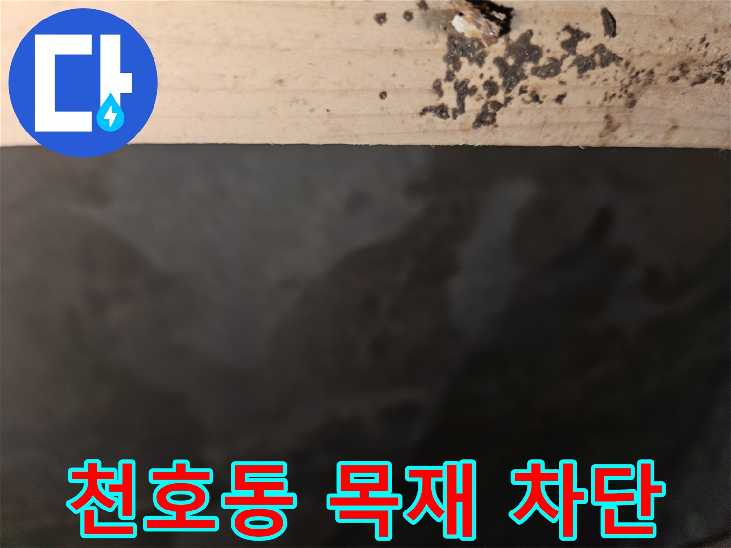 천호동 아파트 누수 - 목재 부식 완벽 차단 - 최고의 결과