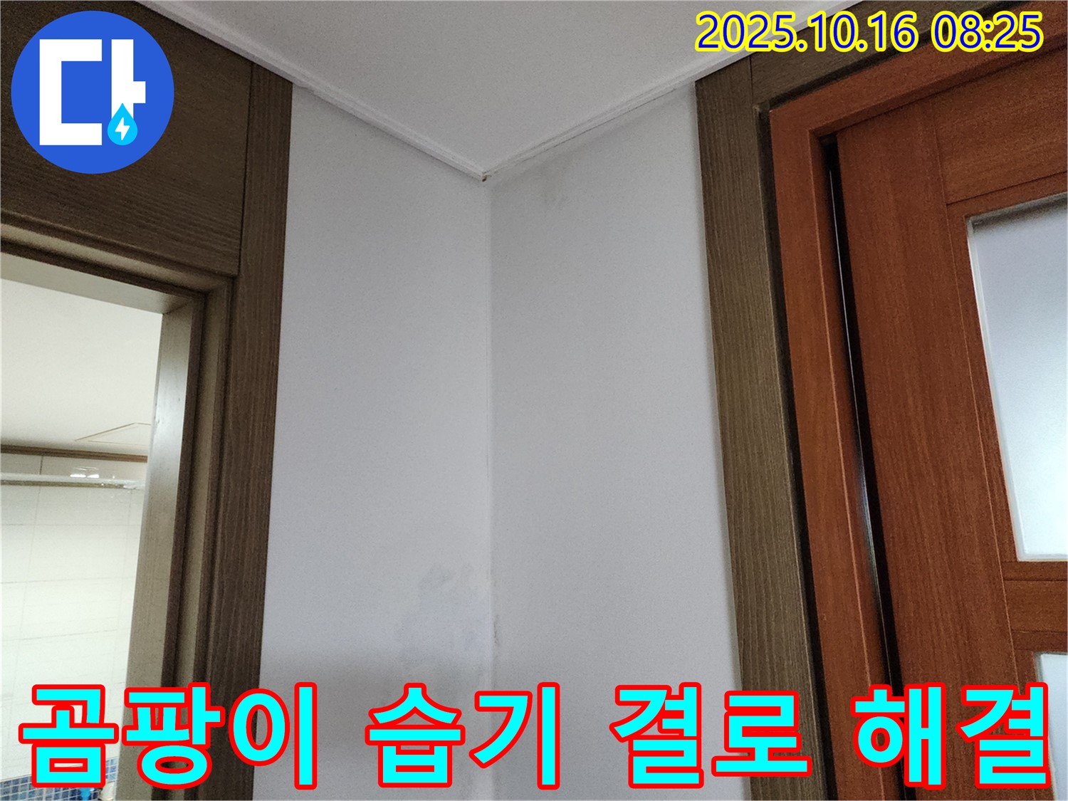 곰팡이 - 습기 - 결로 해결 - 쾌적한 공간 - 웃음꽃