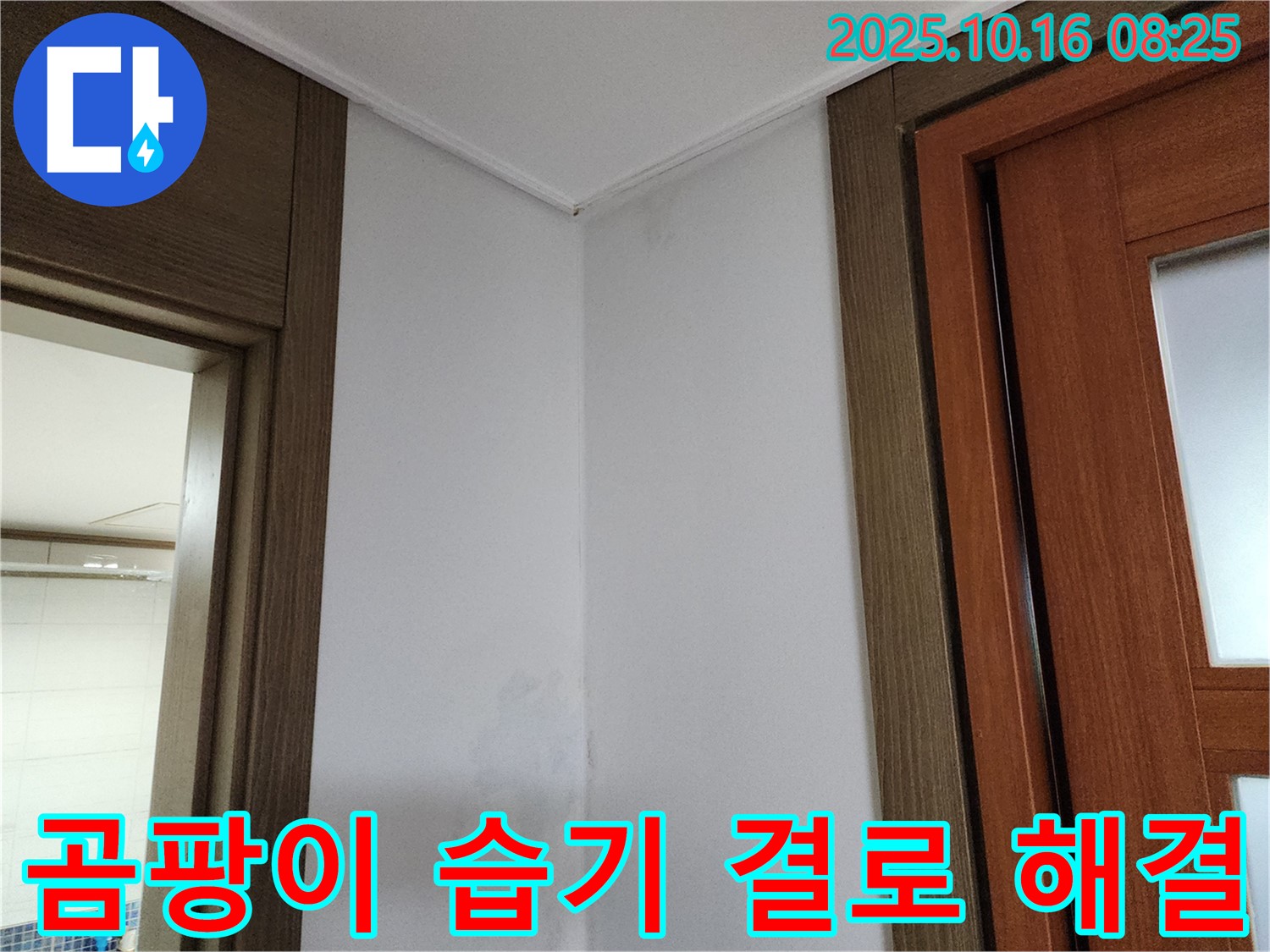 곰팡이 - 습기 - 결로 해결 - 쾌적한 공간 - 한번에 해결