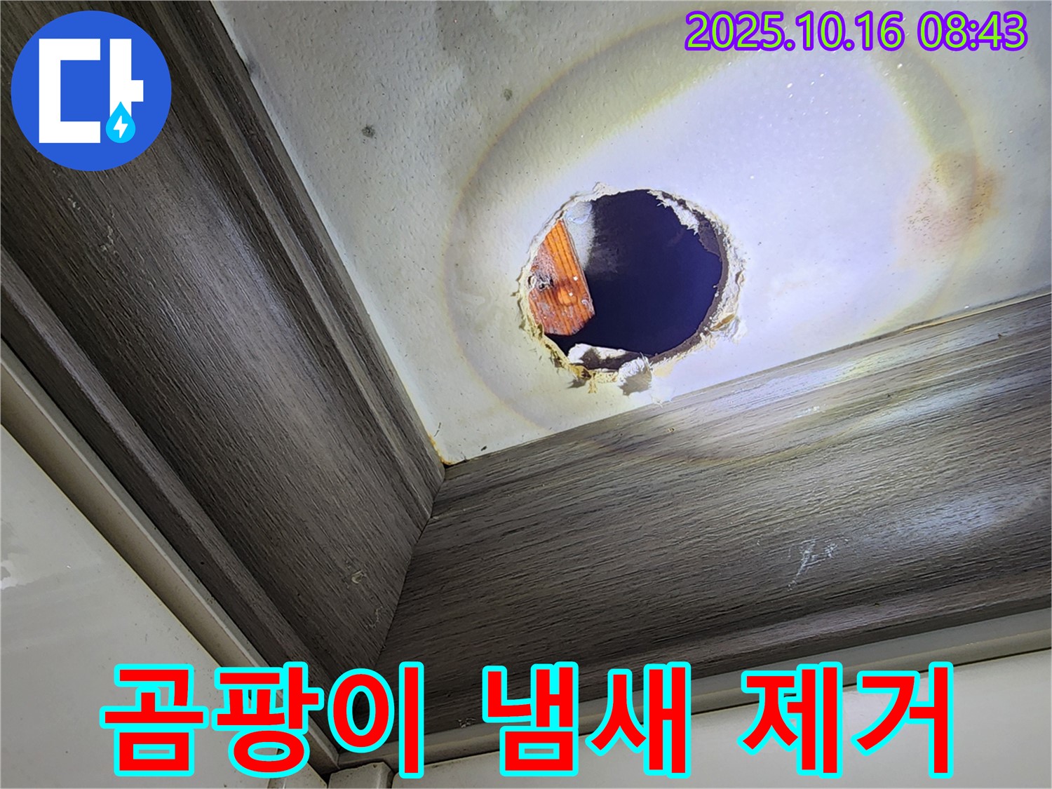 남면 경신리 천장 구멍 속 누수 - 곰팡이 냄새 제거 - 쾌적한 공간으로