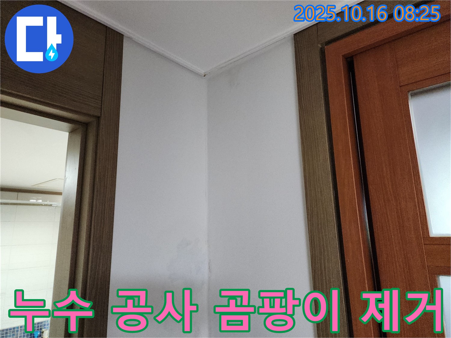 누수 공사 후 곰팡이 제거 - 쾌적하고 건강한 실내 환경 조성