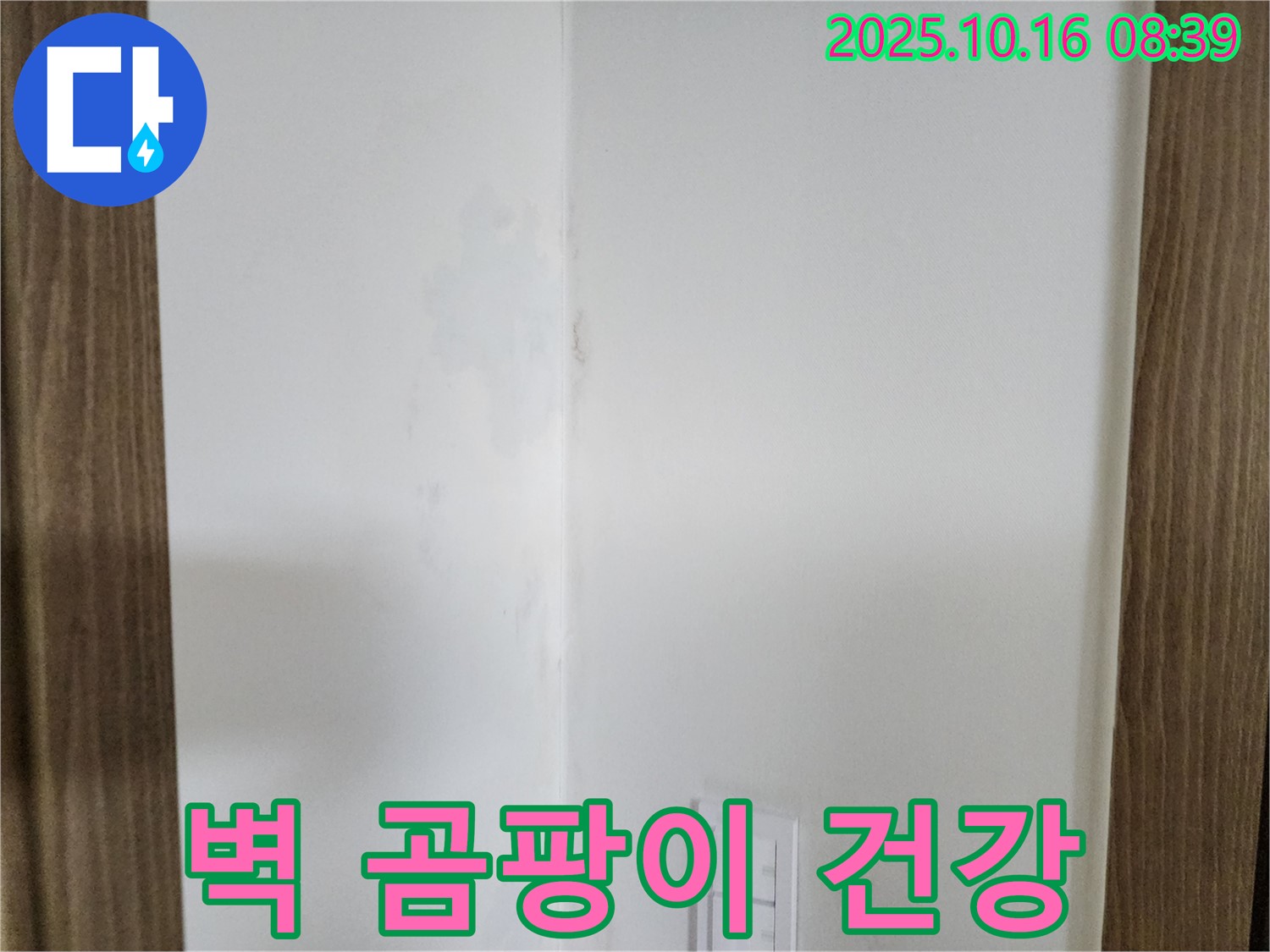 양주 경신리 주택 벽 곰팡이 - 건강 침입자, 누수 점검 시급