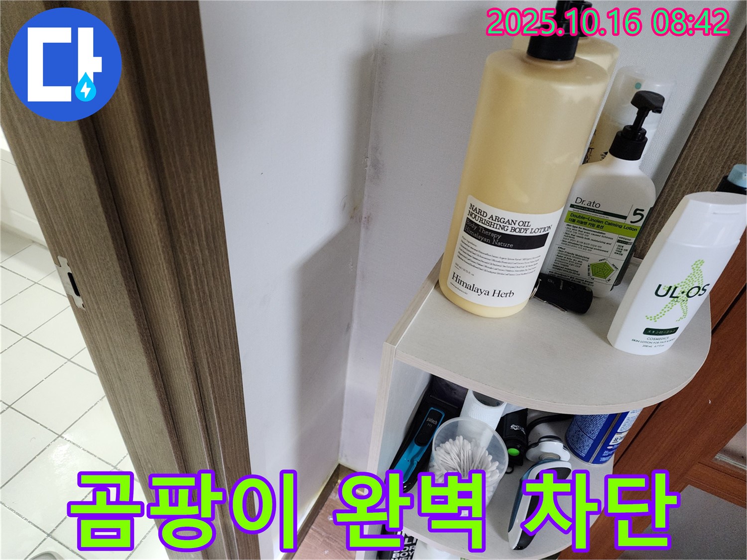 양주 남면 경신리 욕실 곰팡이 - 누수 문제 해결, 곰팡이 완벽 차단!