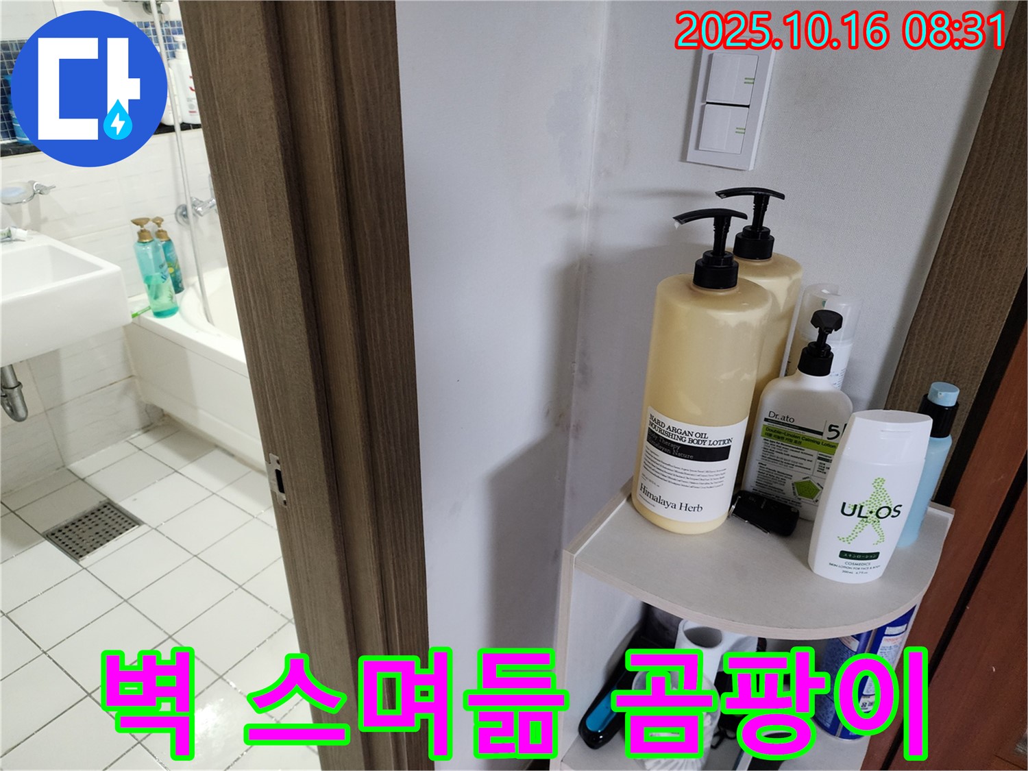 양주 남면 경신리 욕실 누수 - 벽 물 스며듦과 곰팡이, 습기 문제