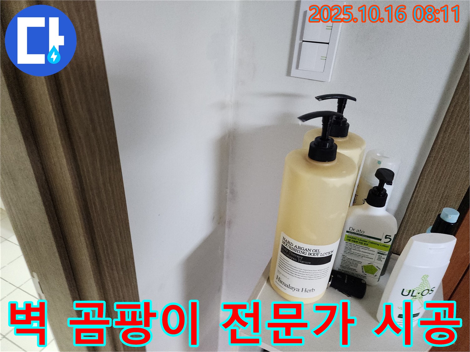 양주 남면 경신리 욕실 - 벽 곰팡이 - 곰팡이 제거 전문가가 책임 시공