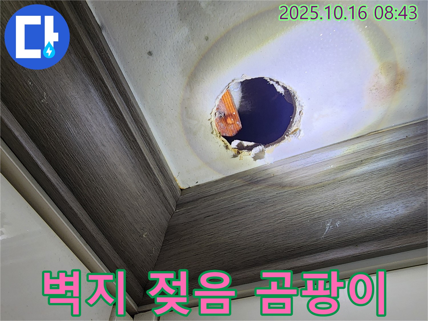 양주 남면 천장 구멍 누수 - 젖은 벽지 - 곰팡이 번식 우려