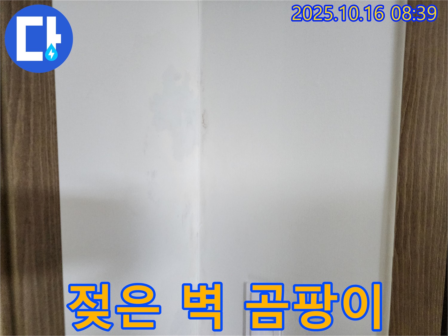 양주 주택 젖은 벽 - 곰팡이와 작별, 쾌적한 공간 변신, 누수 해결